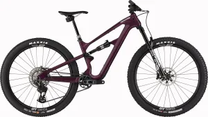2025 Habit LTD