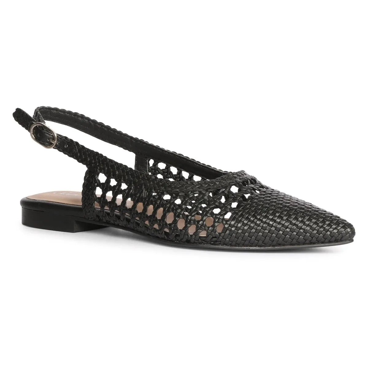 Chayya - Flats