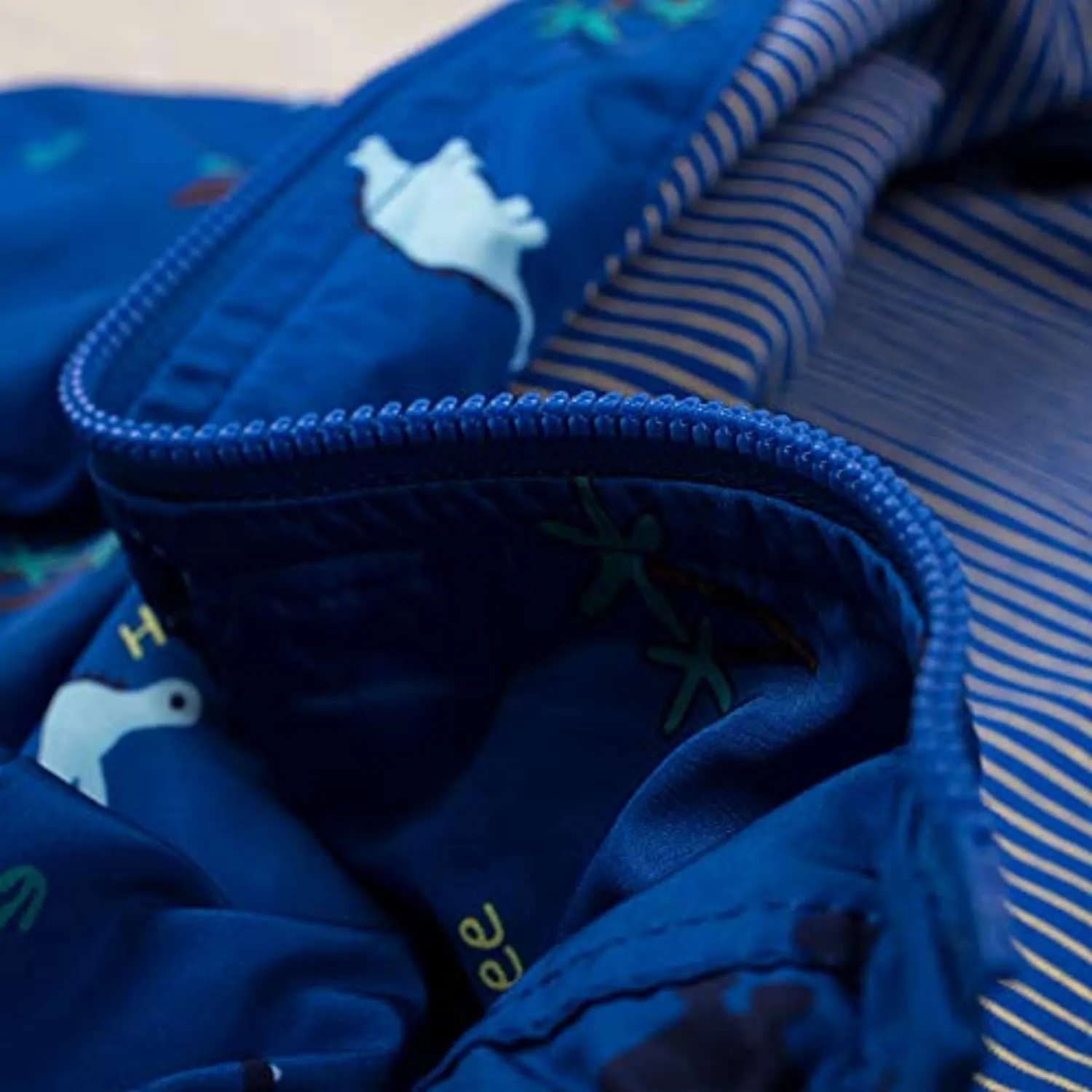 Dinosaur Windbreaker Jackets