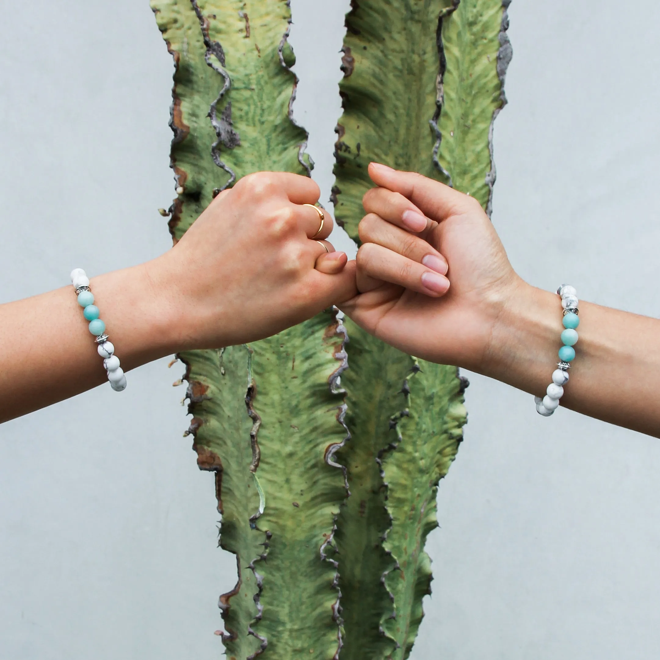 Friendship