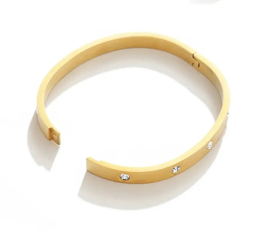 Hinged Bracelet